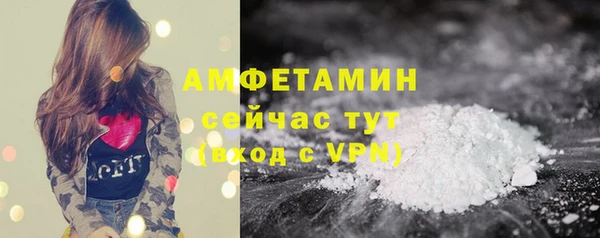 шишки Баксан