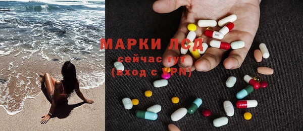 шишки Баксан