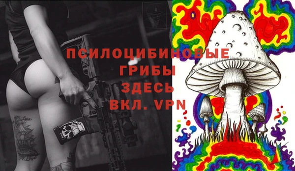 шишки Баксан